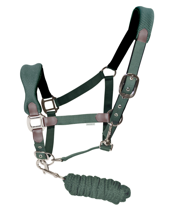 Set licol et longe Soccoro vert