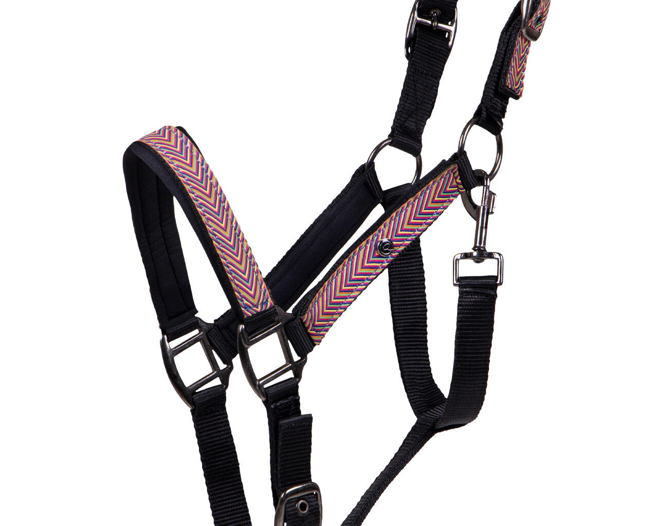 Duo licol et longe Colorful