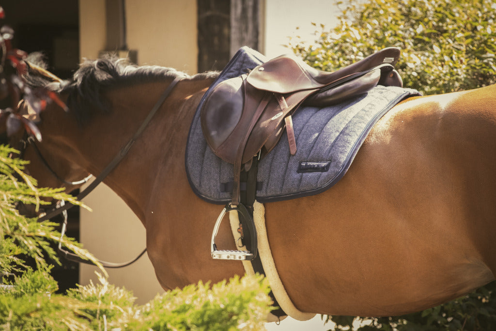 Tapis Wooltouch Paddock