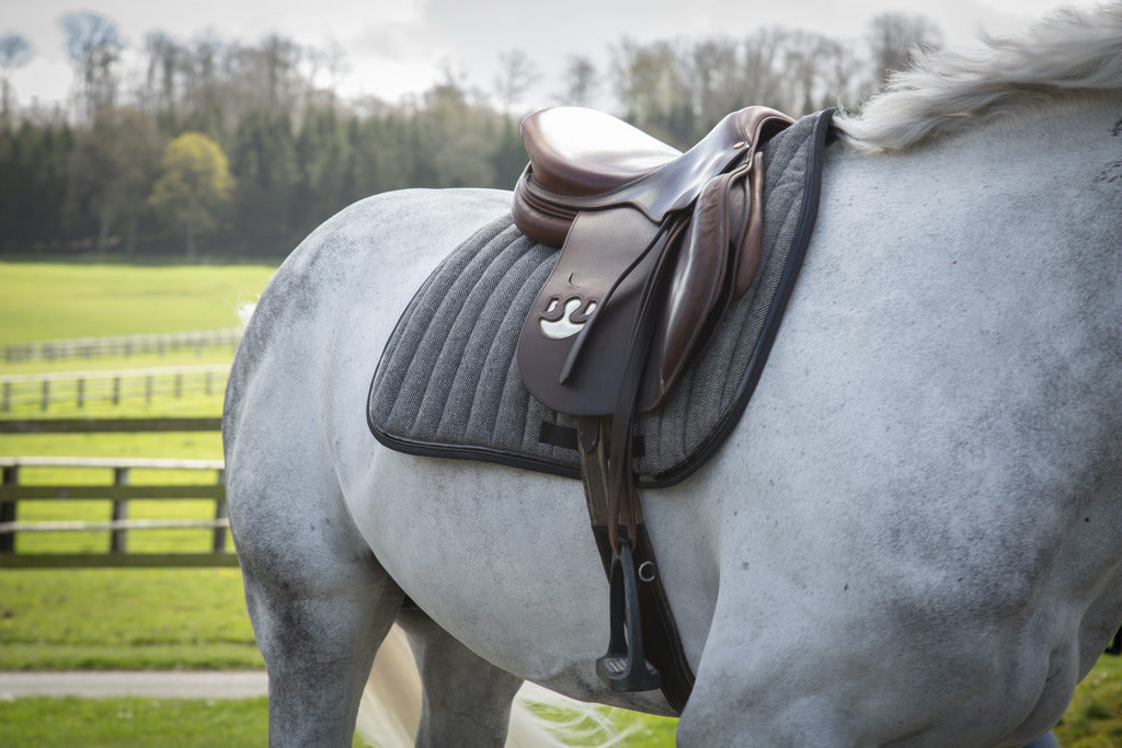 Tapis Wooltouch Paddock