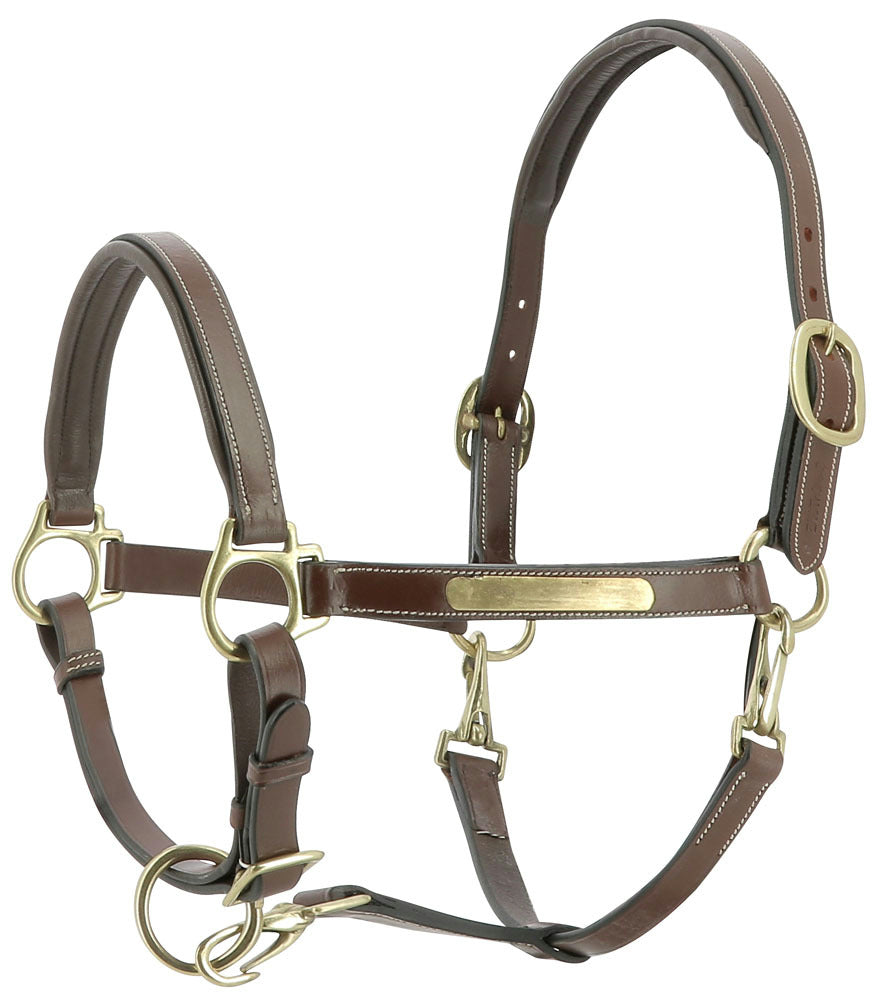 Licol cuir grooming havane