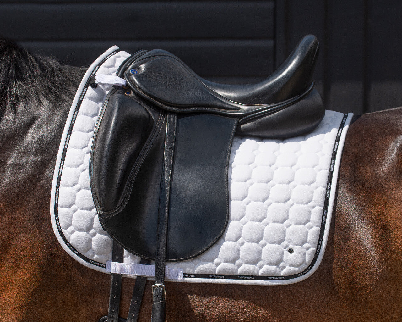 Tapis de selle Denver dressage