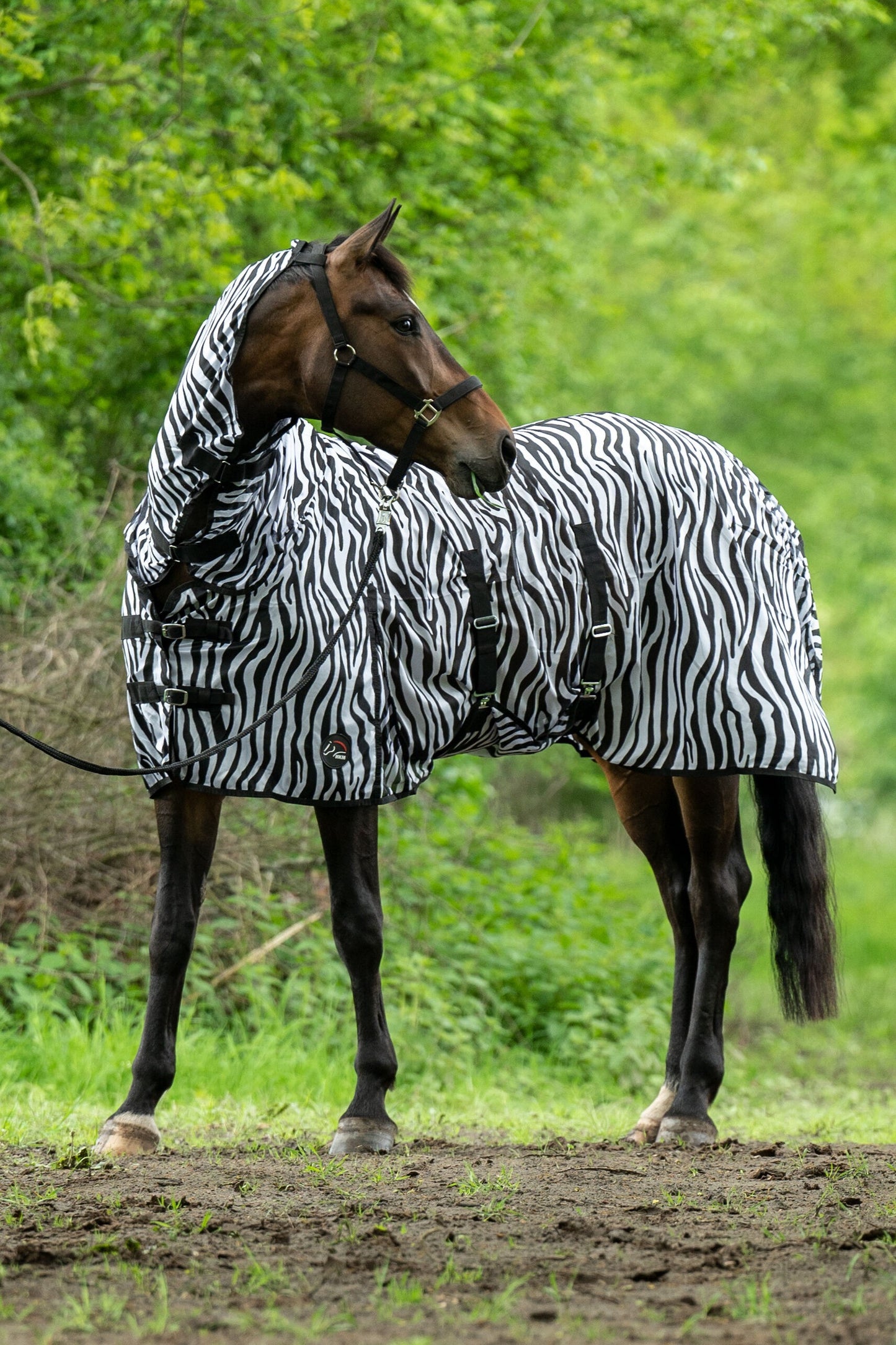 Couverture anti mouches zebra avec encolure