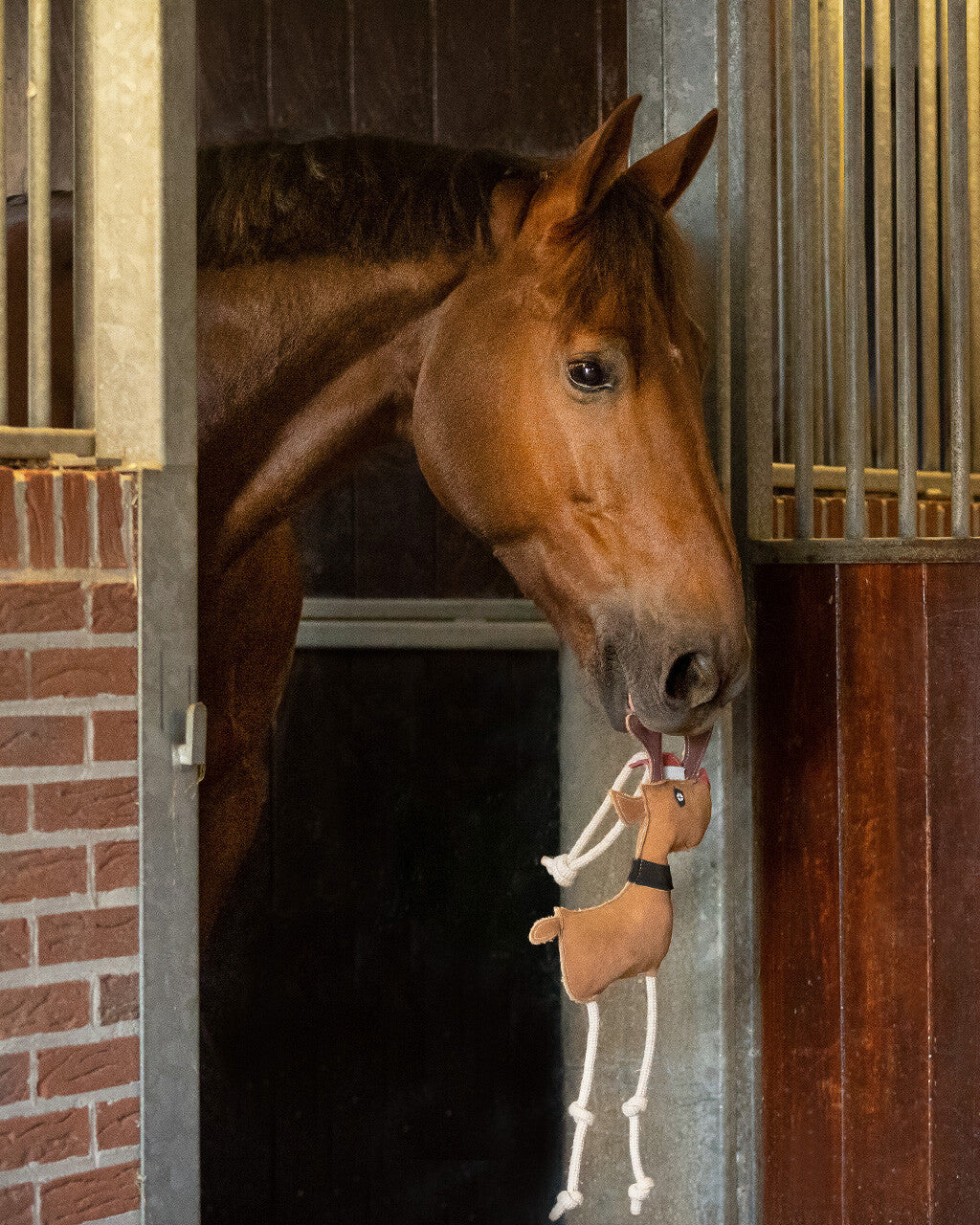 Jouet pour chevaux QHP