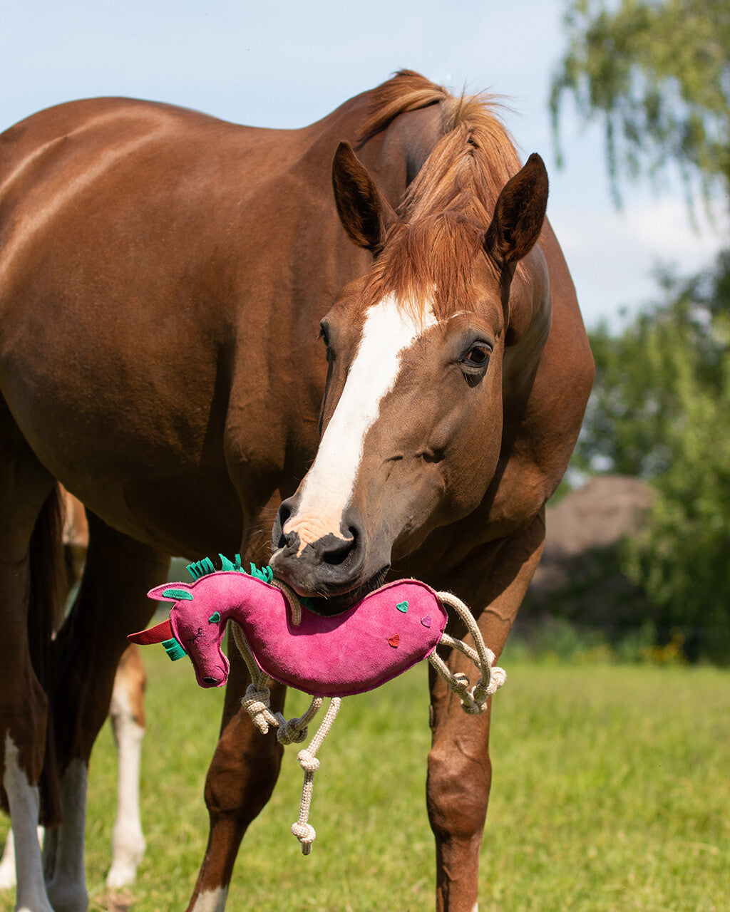 Jouet pour chevaux QHP