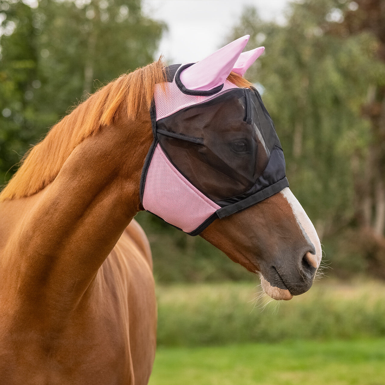 Masque anti-mouches clapet rose