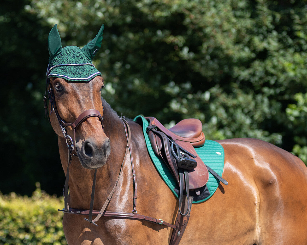 Bonnet Eldorado vert