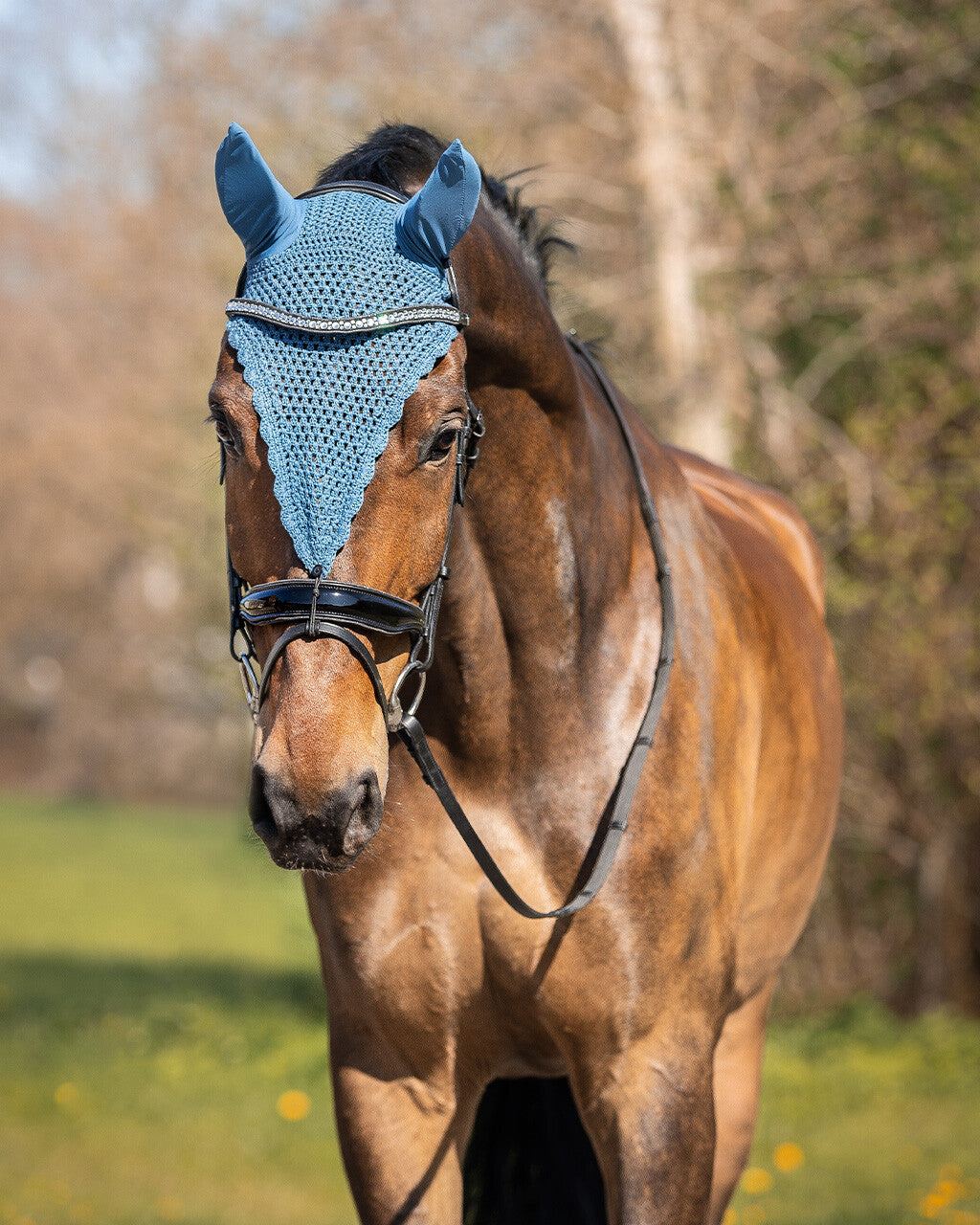 Bonnet Lungo cob
