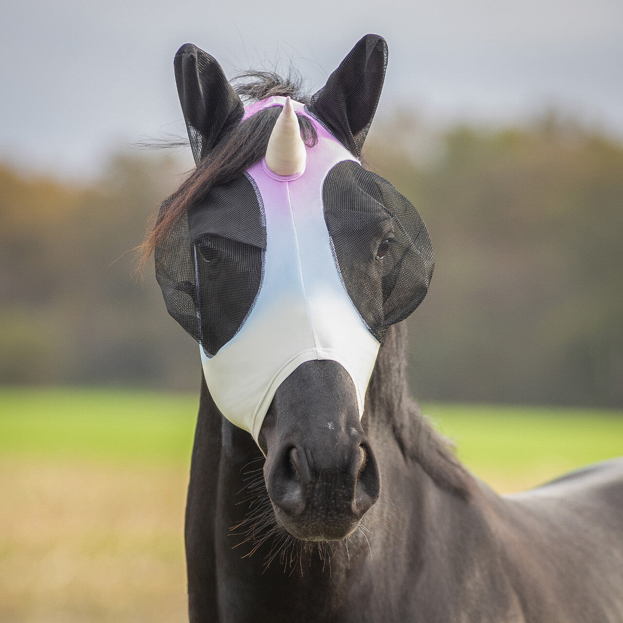 Bonnet à mouches licorne
