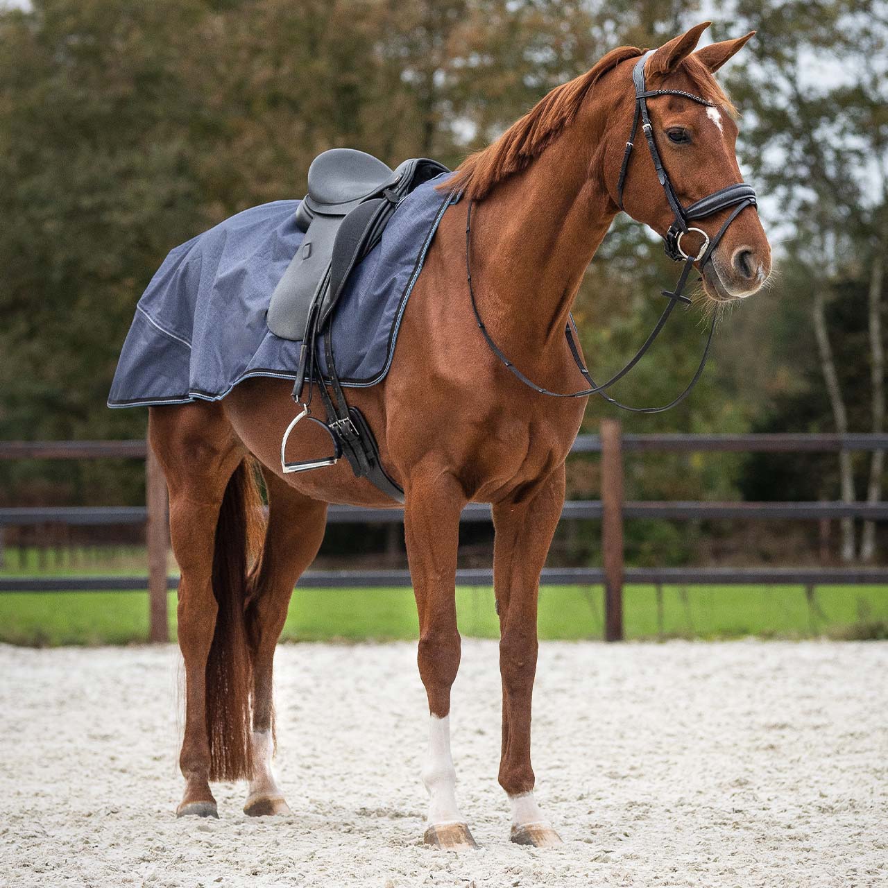Couvre reins turnout collection sapphire
