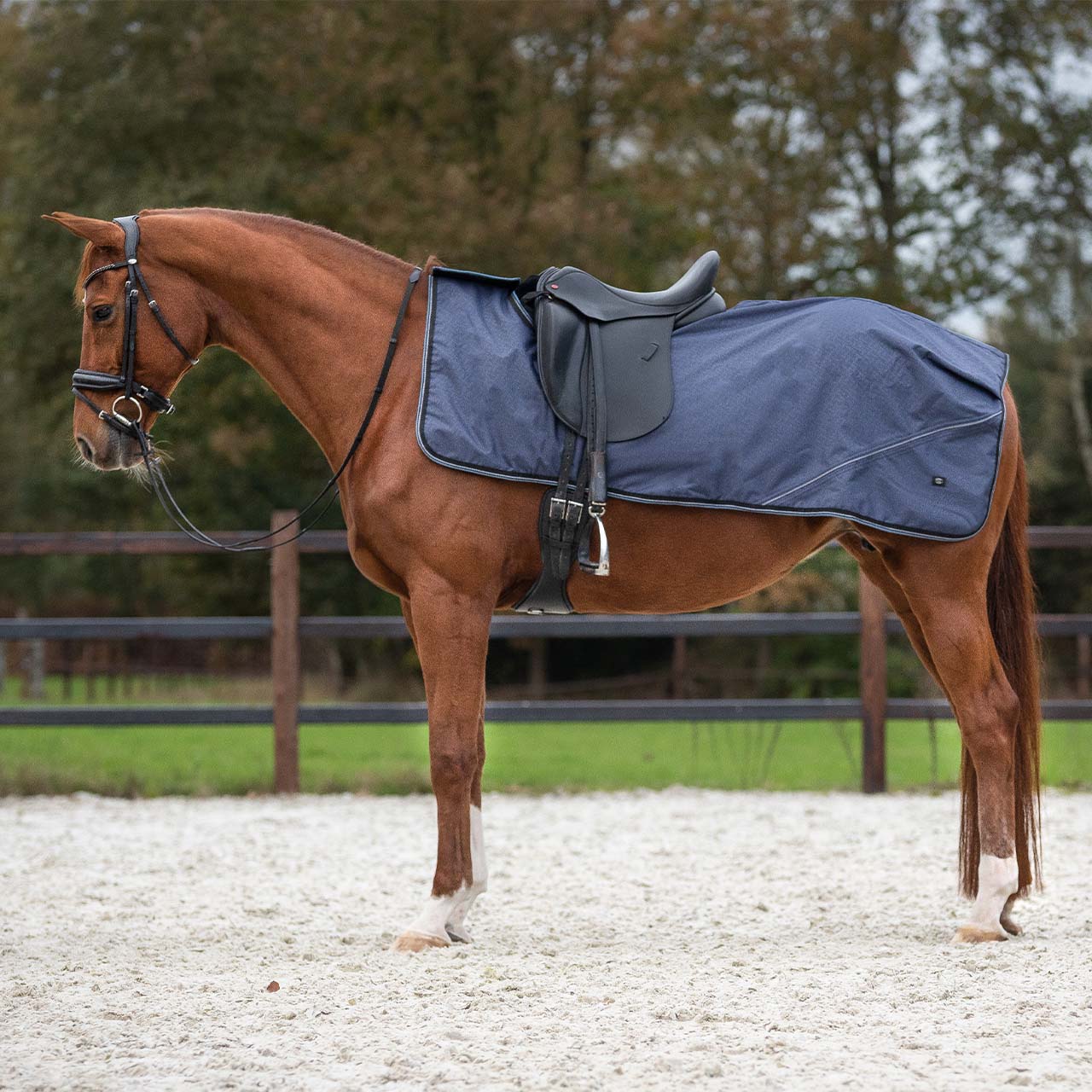 Couvre reins turnout collection sapphire