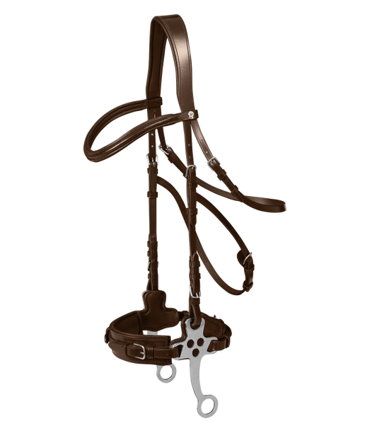 Bridon pour hackamore Xline marron