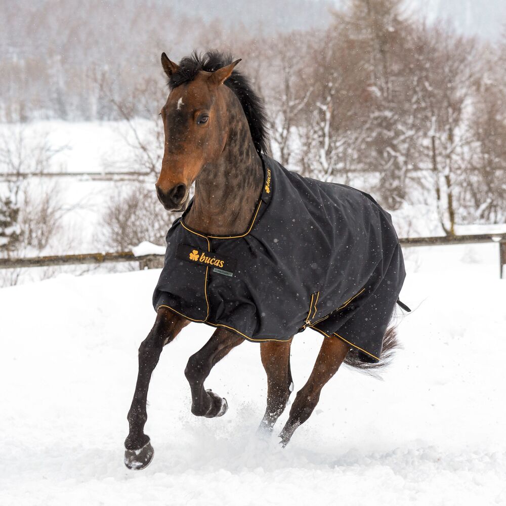 Irish Turnout 100 black/gold