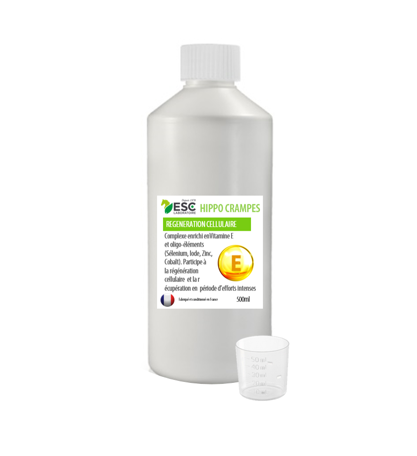 Hippocrampes ESC Laboratoire