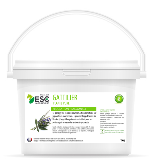 Gattilier