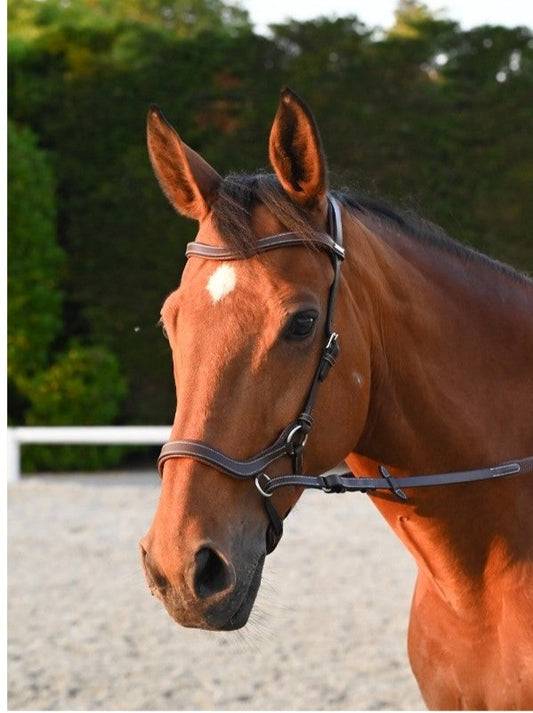 Bridon Bitless collection one noisette