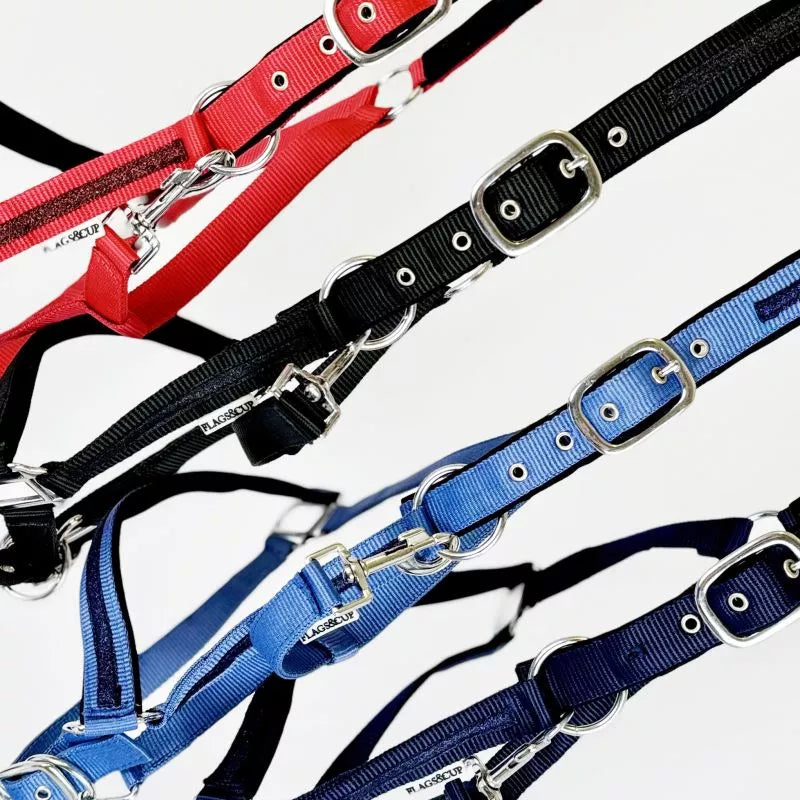 Set licol et longe Atamik F&C cheval