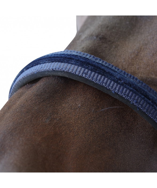 Set licol et longe Flags & Cup Beluga marine