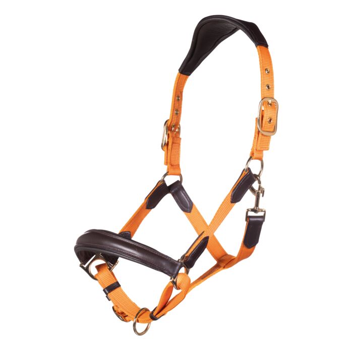 Licol cuir nylon Marrakech orange