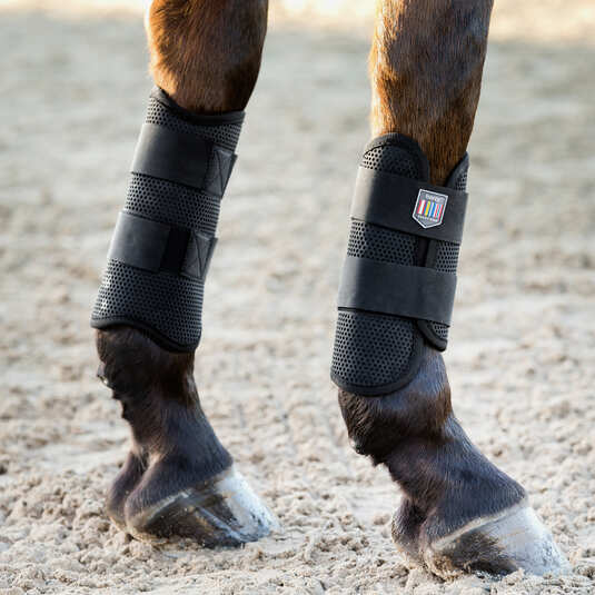 Protections de cross anterieurs