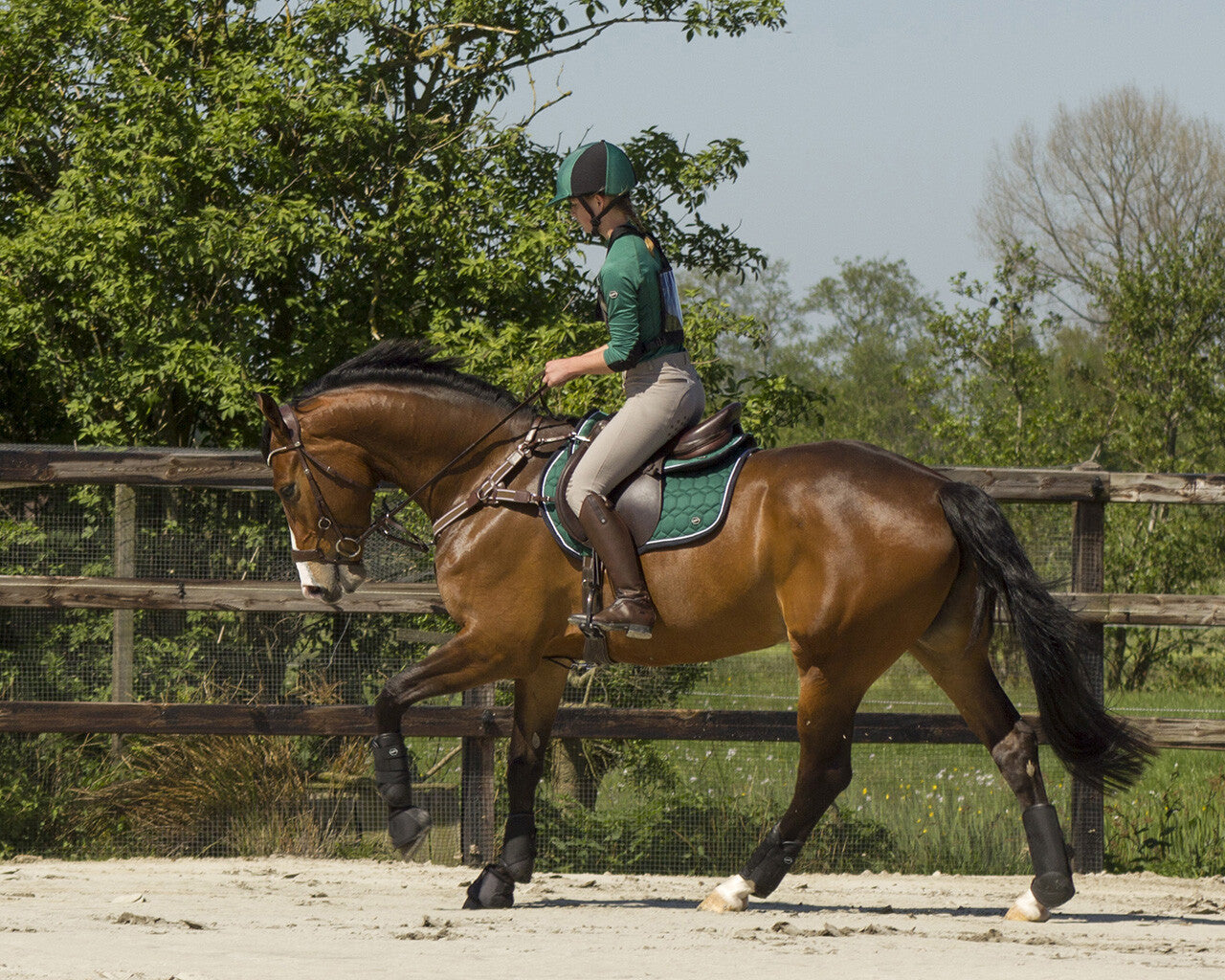 Guetres cross antérieurs QHP