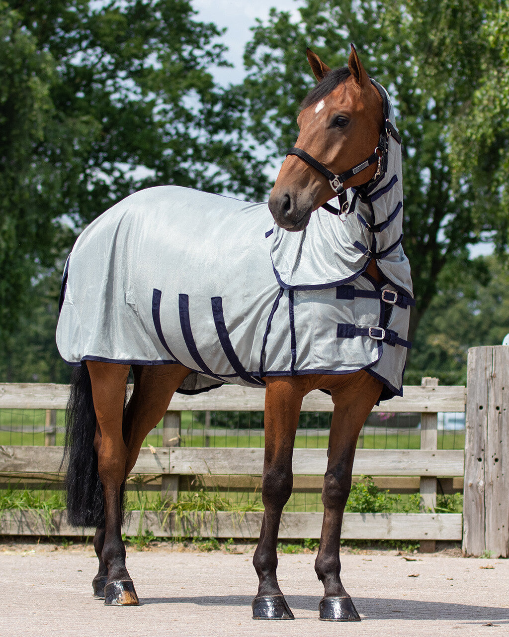 Chemise anti-mouches avec encolure et bonnet