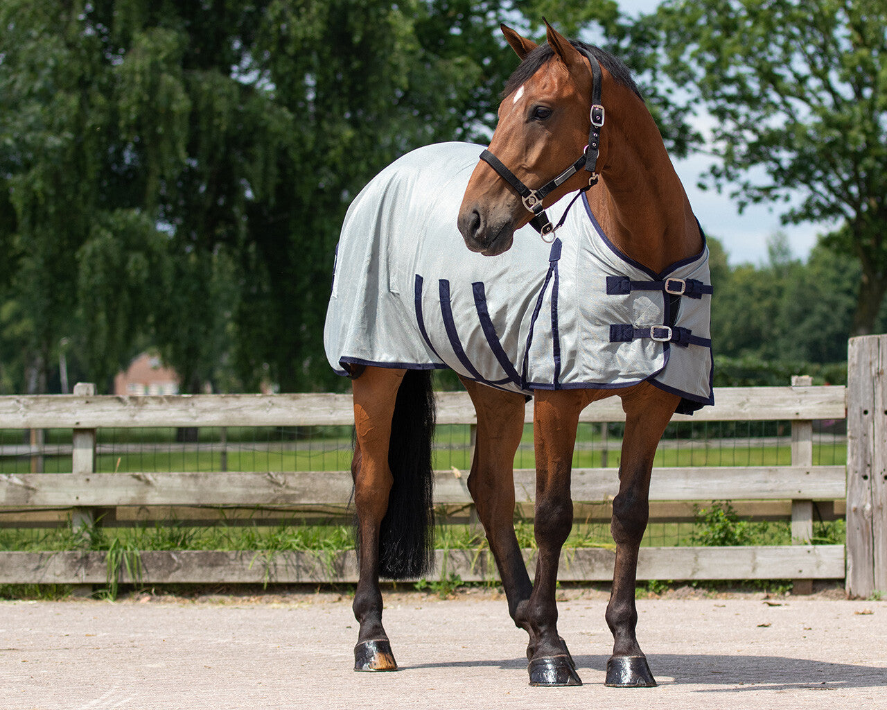 Chemise anti-mouches avec encolure et bonnet