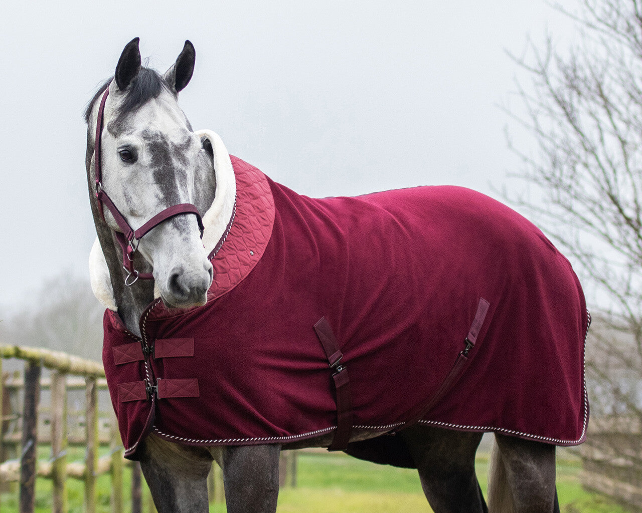 Couverture polaire brilliance bordeaux QHP