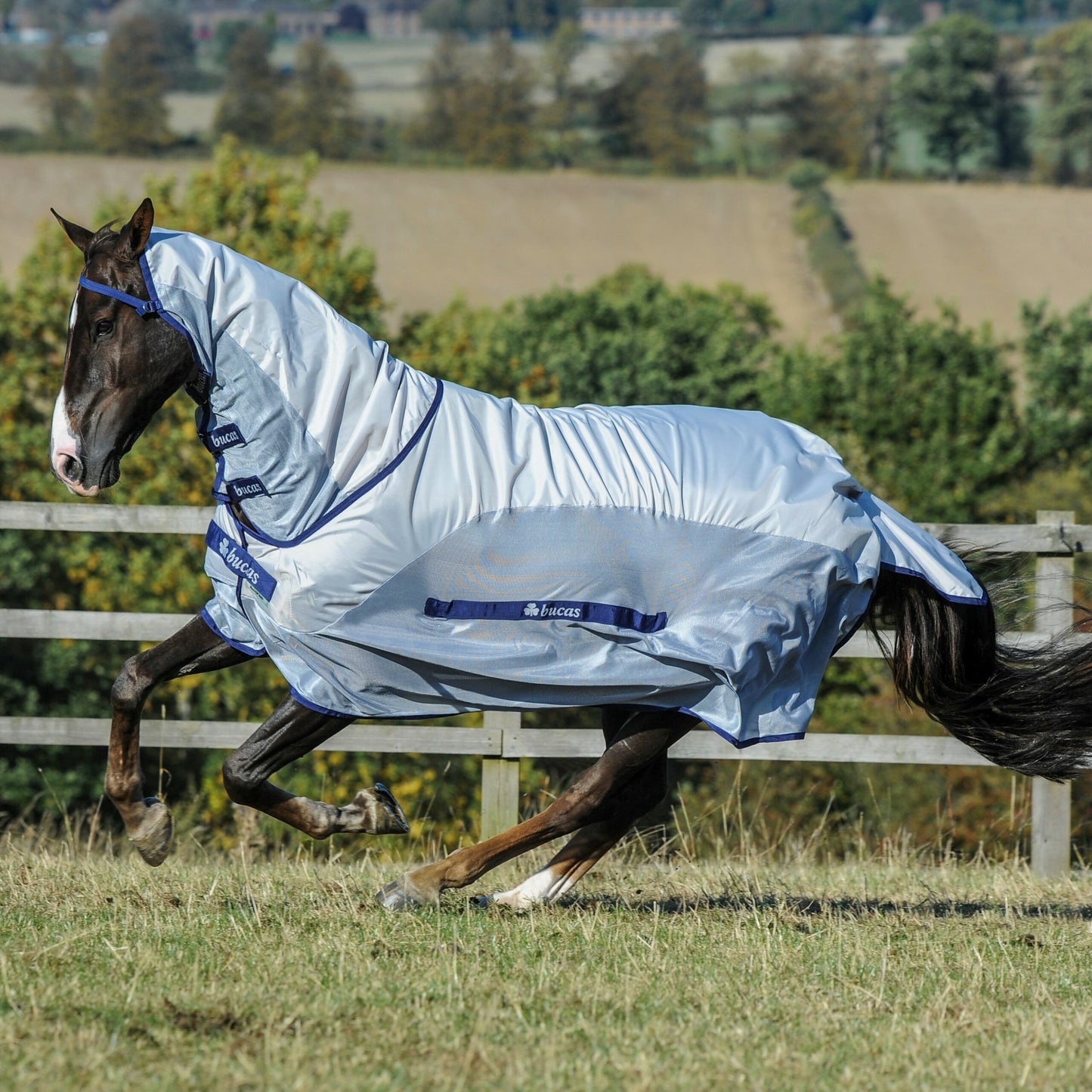 Chemise Bucas Buzz off Rain & neck