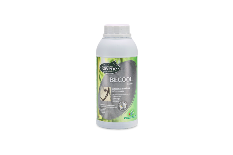 Be cool 500 ml
