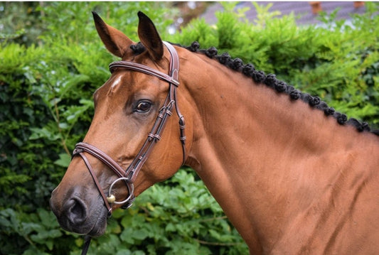 Bridon Jump'in Paris noisette