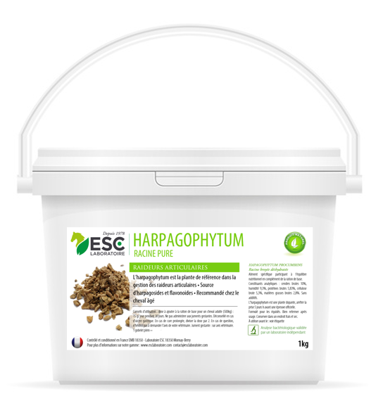 Harpagophytum plante pure 500g Esc laboratoire