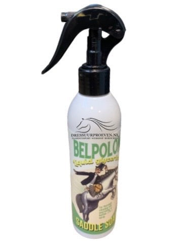 Savon liquide Belpolon 250 ml