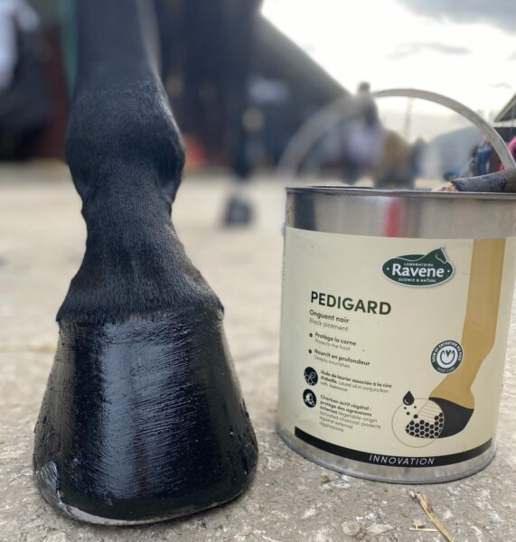 Pediguard noir 750ml