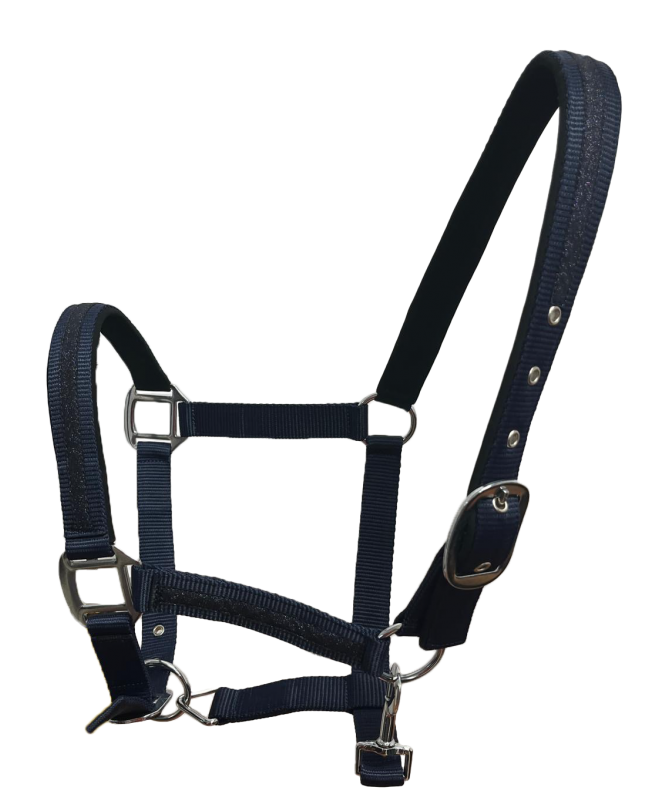 Set licol et longe Atamik F&C poney