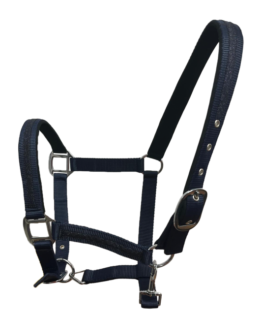 Set licol et longe Atamik F&C cheval