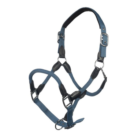 Licol Carlotta bleu gris