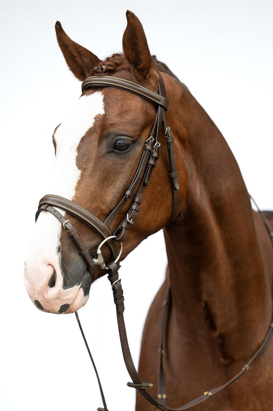 Bridon Lou marron