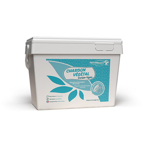 Charbon végétal phytomaster 1kg