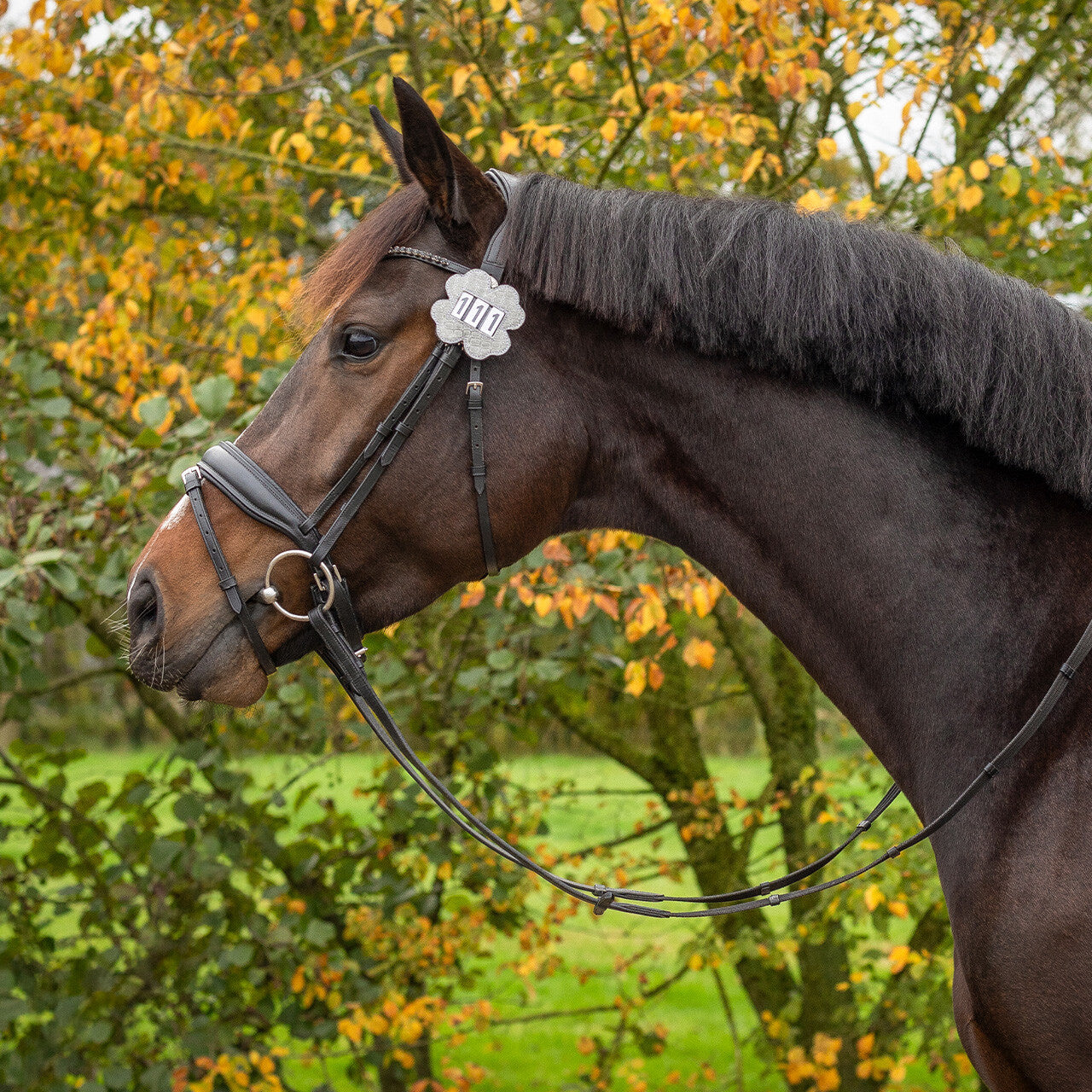 Porte-numéro Clover argent