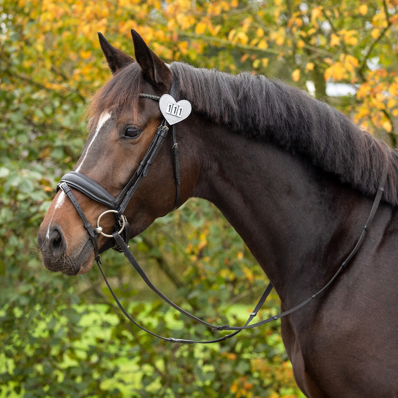 Porte-numéro heart argent