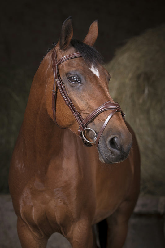 Bridon Norton pro Vague havane