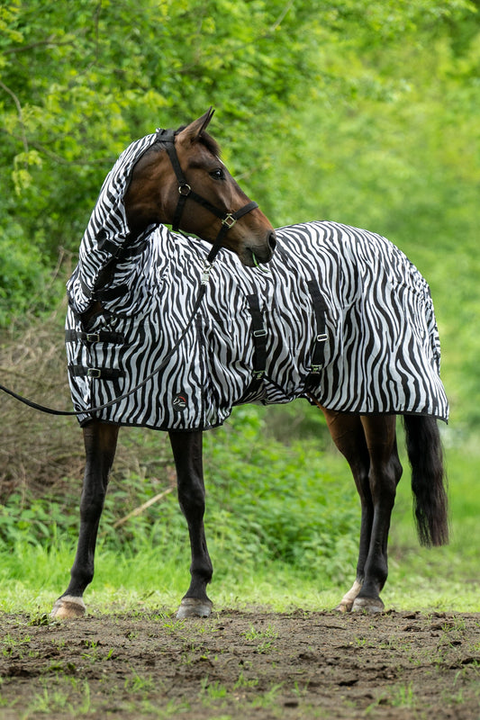 Couverture anti mouches zebra avec encolure