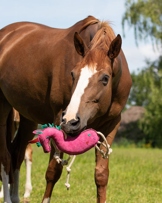 Jouet pour chevaux QHP