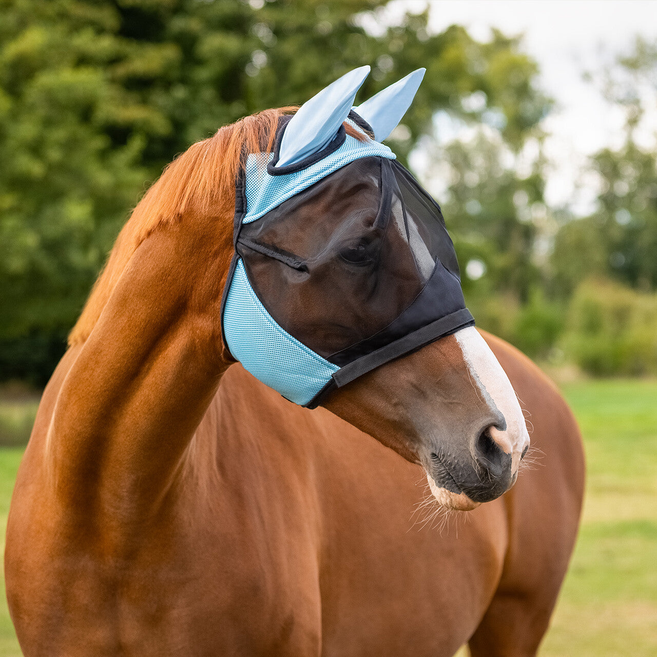 Masque anti-mouches clapet bleu
