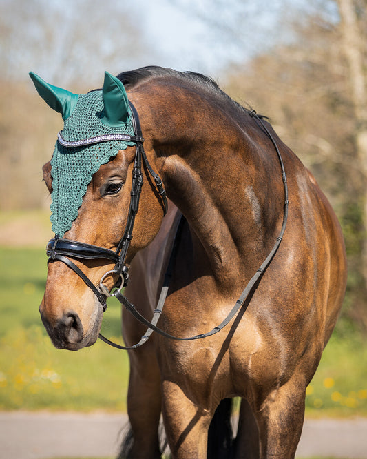 Bonnet Lungo cob