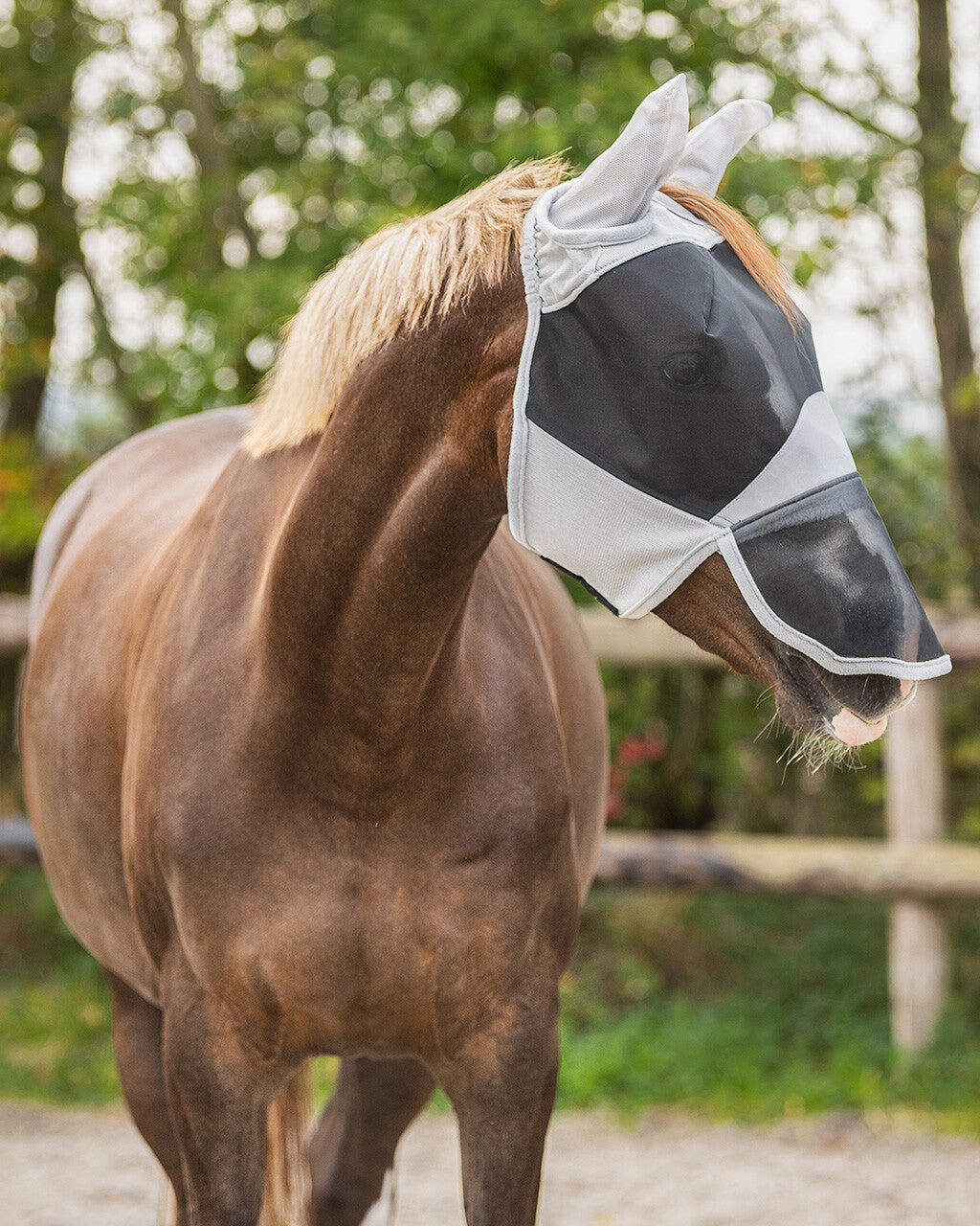 Bonnet anti-mouche solaire