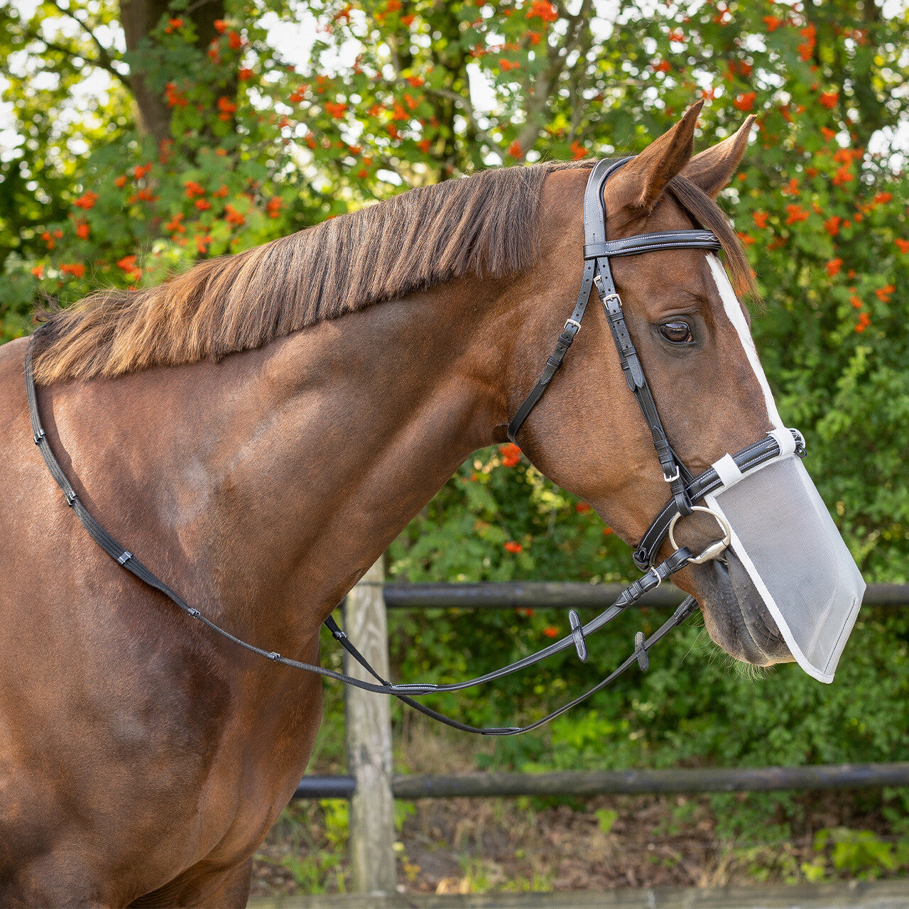 Protection de nez anti UV