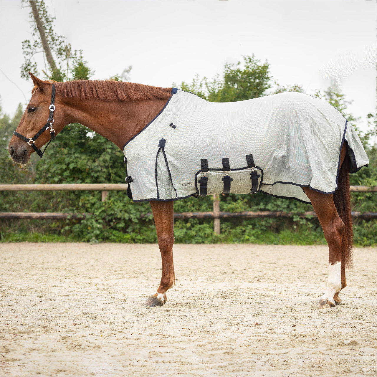 Chemise anti-mouches avec encolure et bonnet