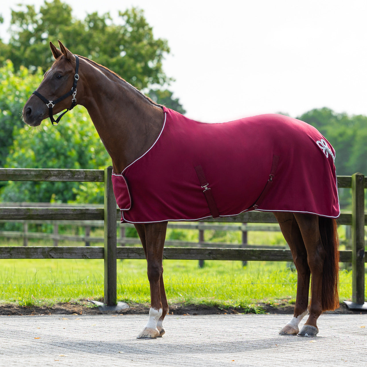 Couverture polaire Ornament bordeaux QHP